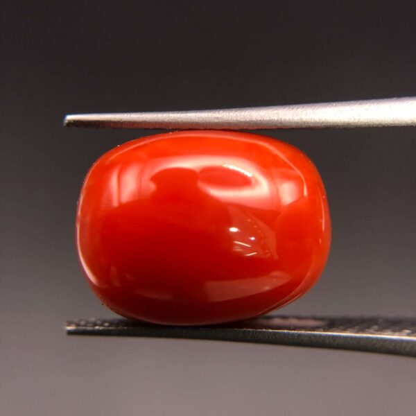 CORAL - 6.58 CT
