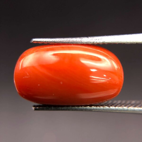 CORAL - 7.11 CT