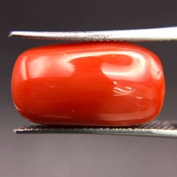 CORAL - 9.82 CT